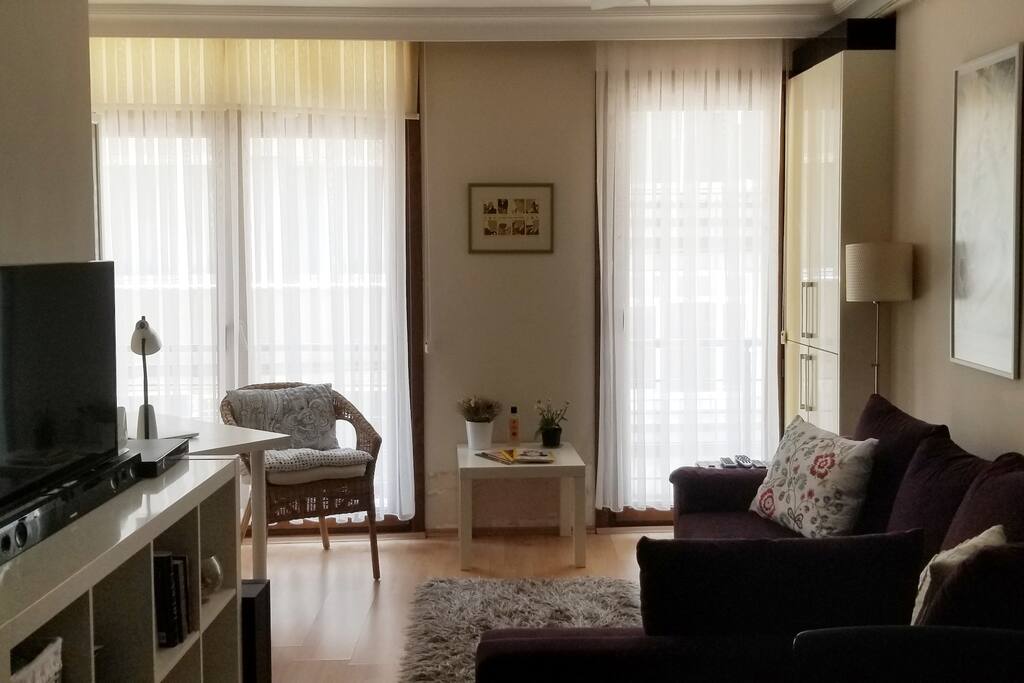 Living room includes smart TV & surround sound speakers. Couch turns into a bed for 2 people.