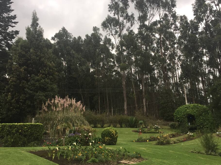 The gardens
