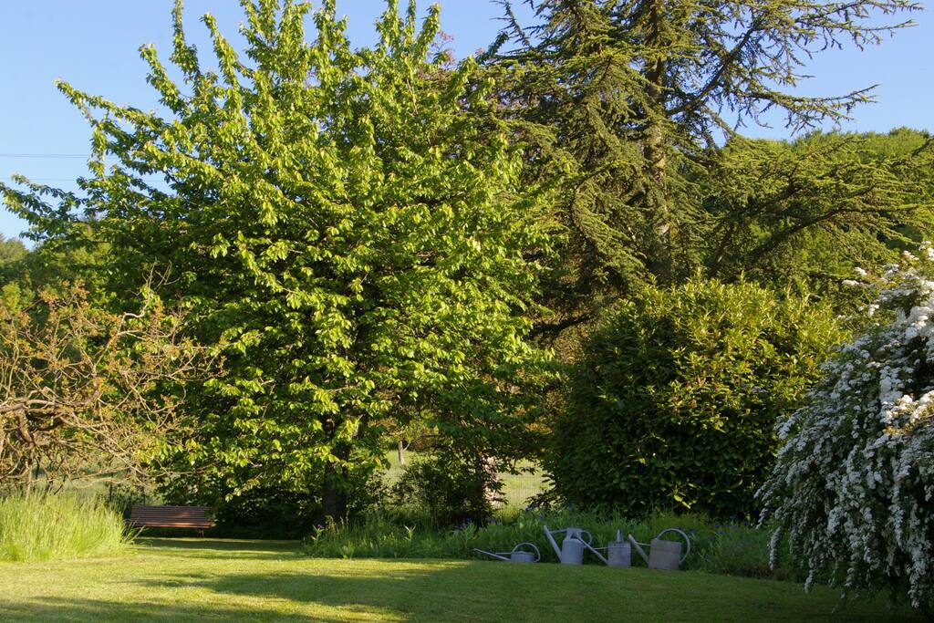 Le jardin
