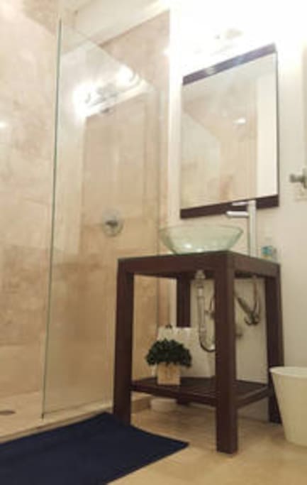 Bathroom - Glass Shower Door