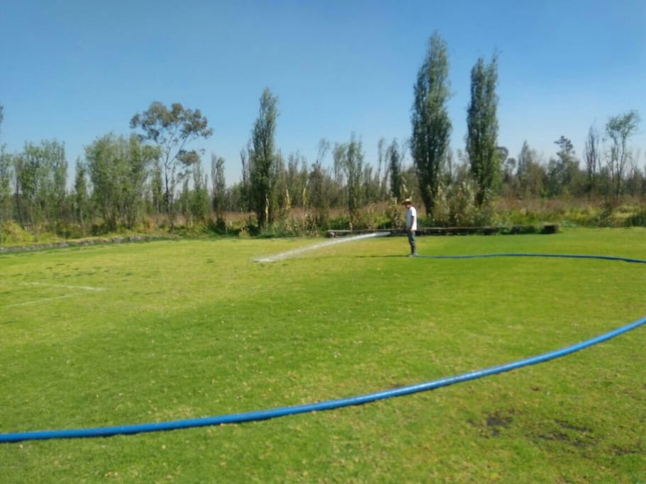 campo de futbol