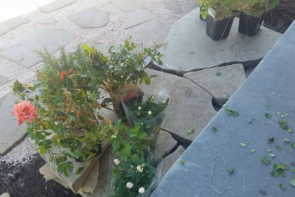 Patio to Garden
