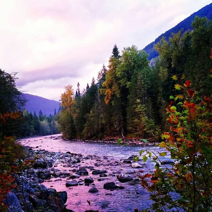 Downstream view in Summer
