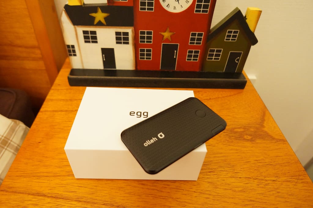 Portable Wifi (Olleg Egg)