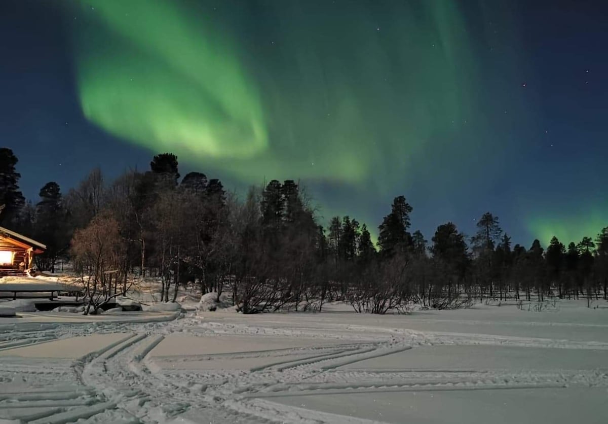 The night sky is illuminated by vibrant green auroras, dancing above a snowy landscape. A wooden structure is visible in the foreground, surrounded by tall trees. The ground is blanketed in undisturbed snow, with gentle trails indicating previous activity.