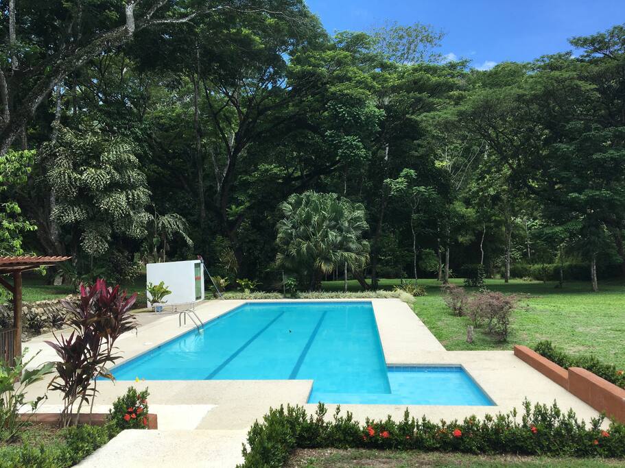 Pool area