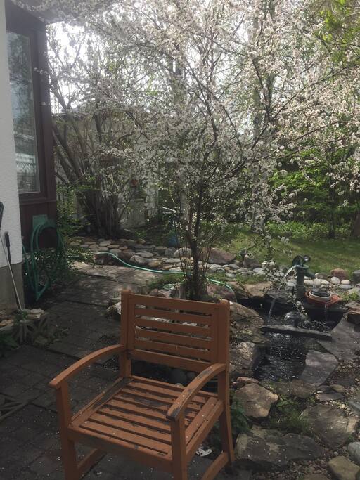 Garden Sitting area
