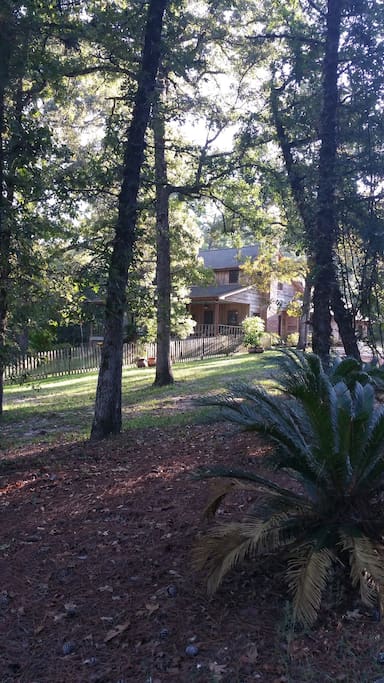 The home is nestled into the woods.