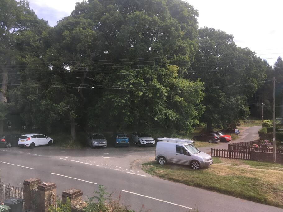 Woods opposite