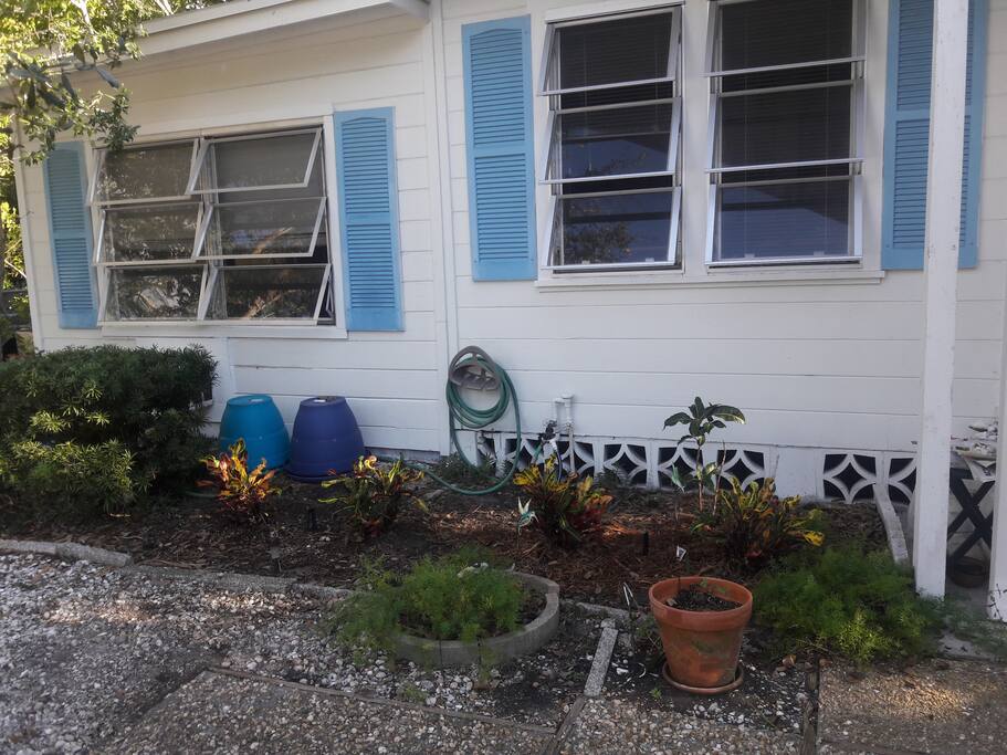 Front windows near parking