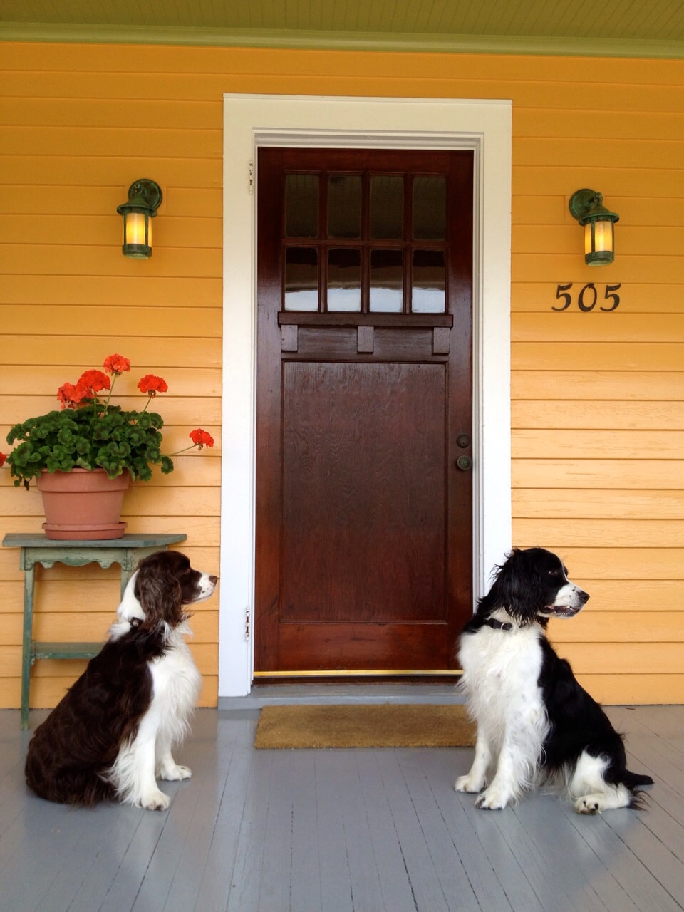 Two dogs are seated on a front porch with light grey flooring. A large potted plant with vibrant orange flowers sits next to a wooden table. The door features a warm brown finish with decorative glass panels, surrounded by two charming wall sconces that provide soft illumination.