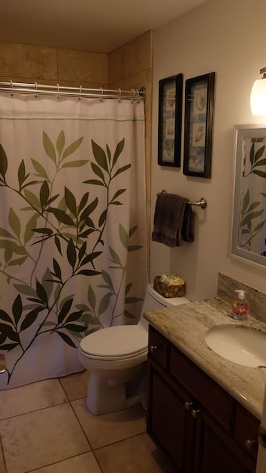 Bathroom: tub/shower combination