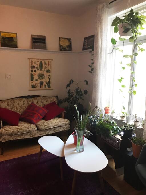 Plantes et vinyls sont au coeur de notre appartement.