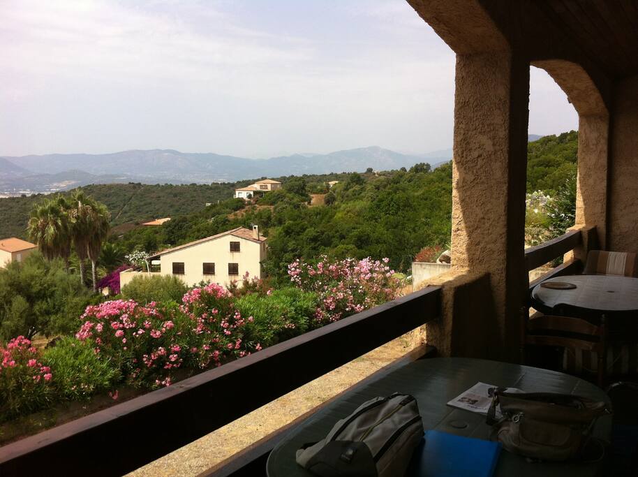 vue sur collines