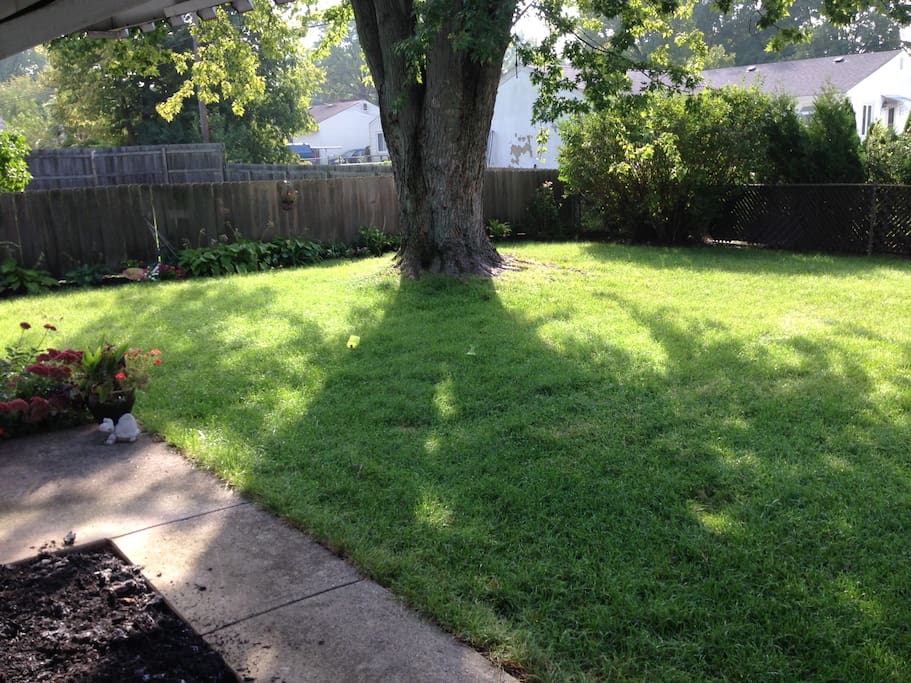Fenced-In Backyard