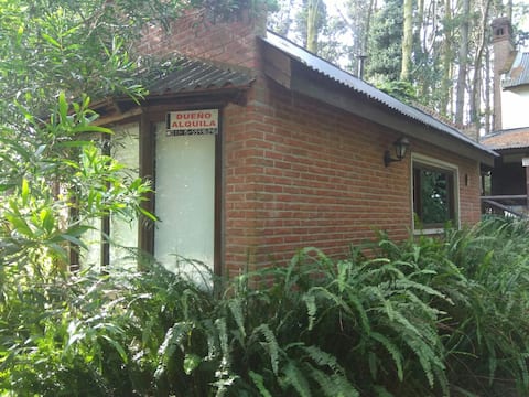 Top performing Airbnb: The bunker in Mar Azul