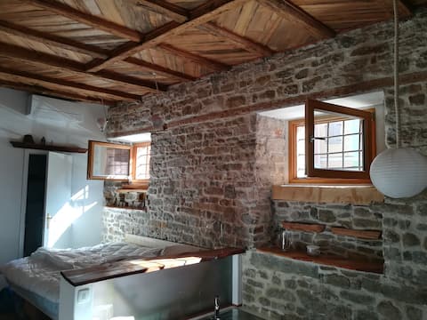 Old Sea Urchin Stable