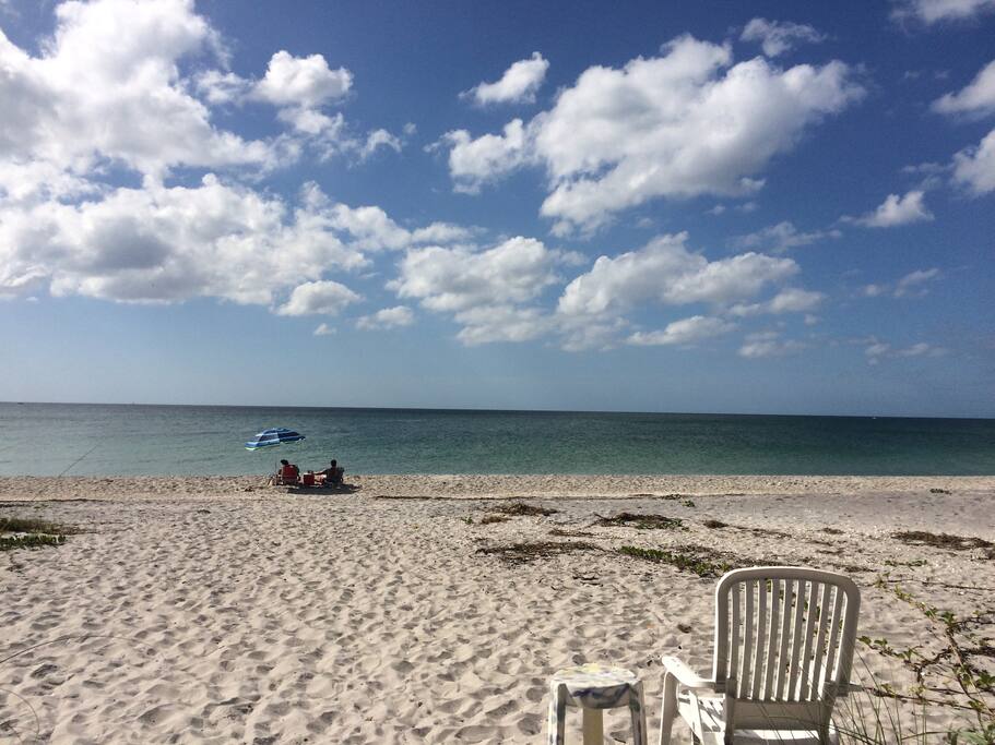 Fabulous Days on the Beach!