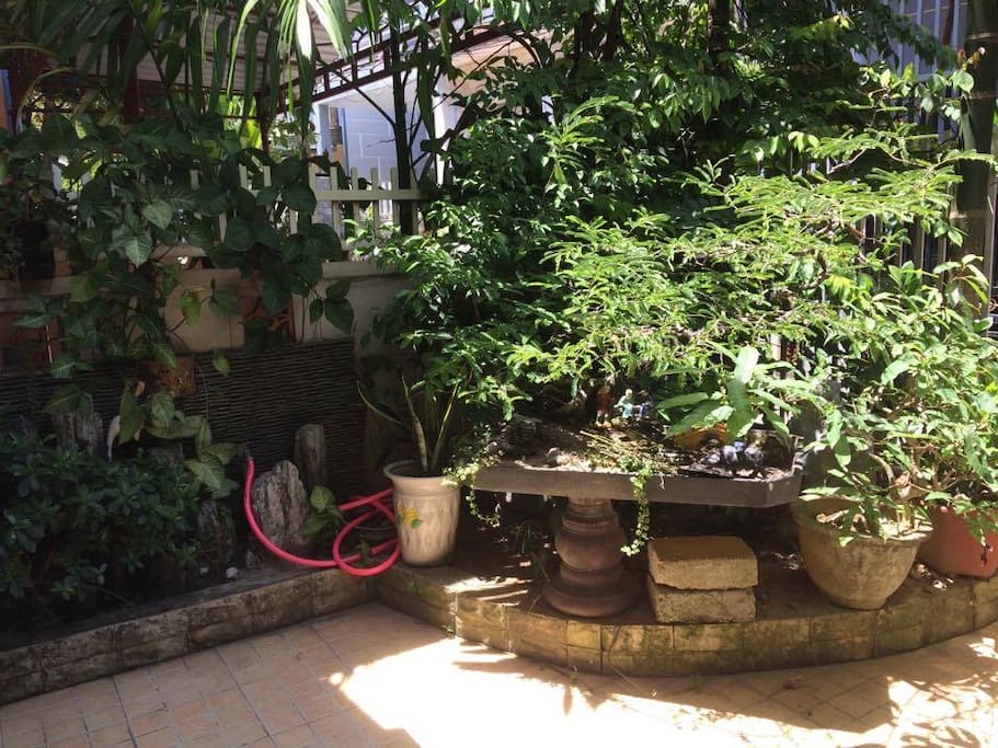 Small garden in the front