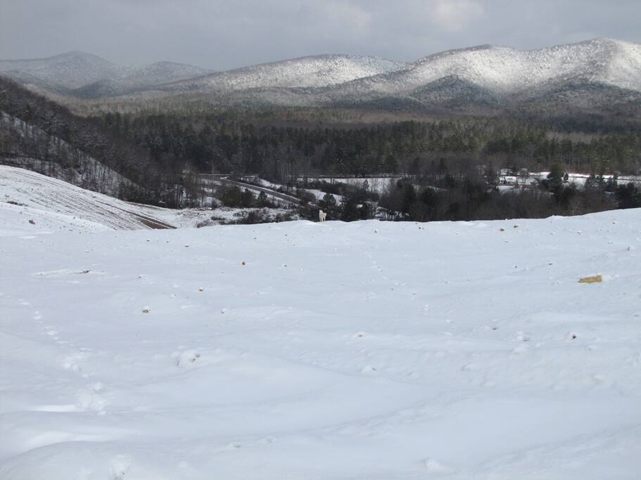 Winter Solitude at it's best