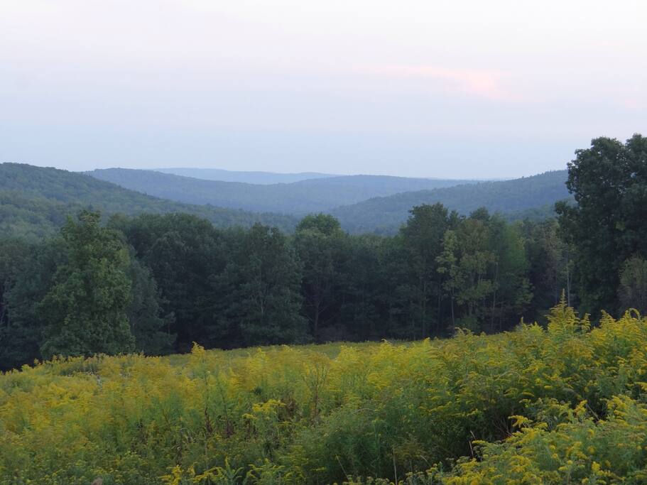 Walk the five minute path to see the view