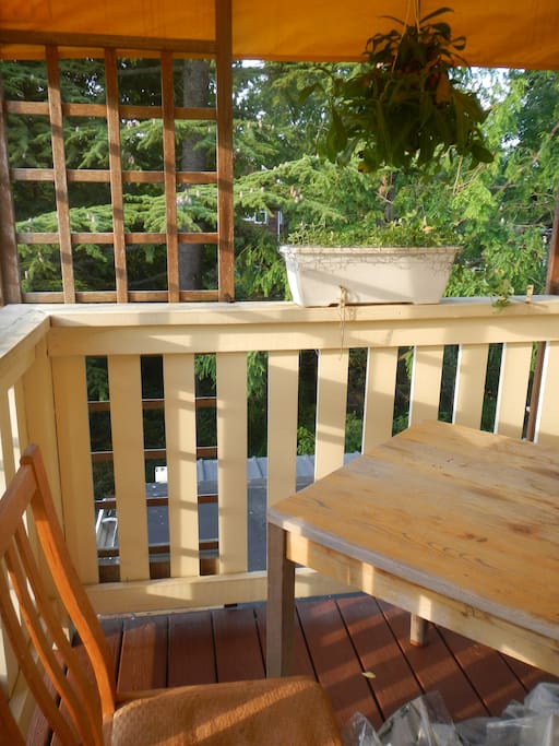 back deck