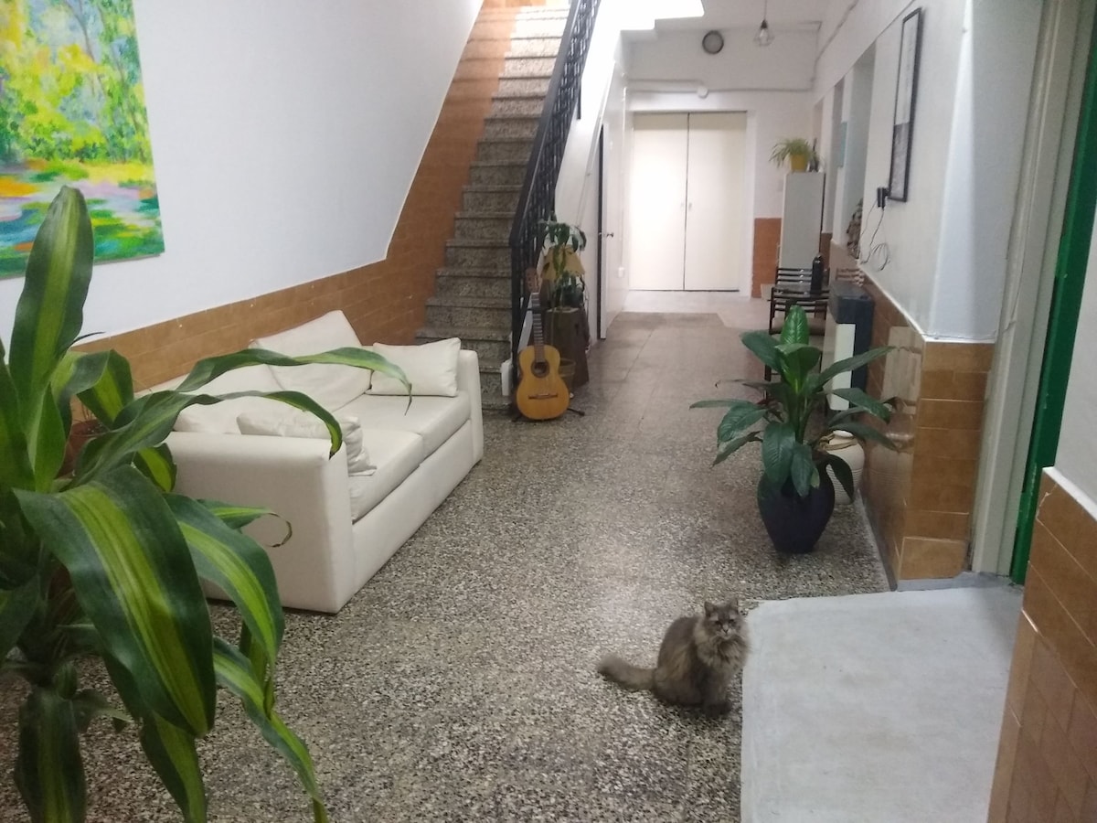 Quarto compartilhado com 4 camas em Palermo