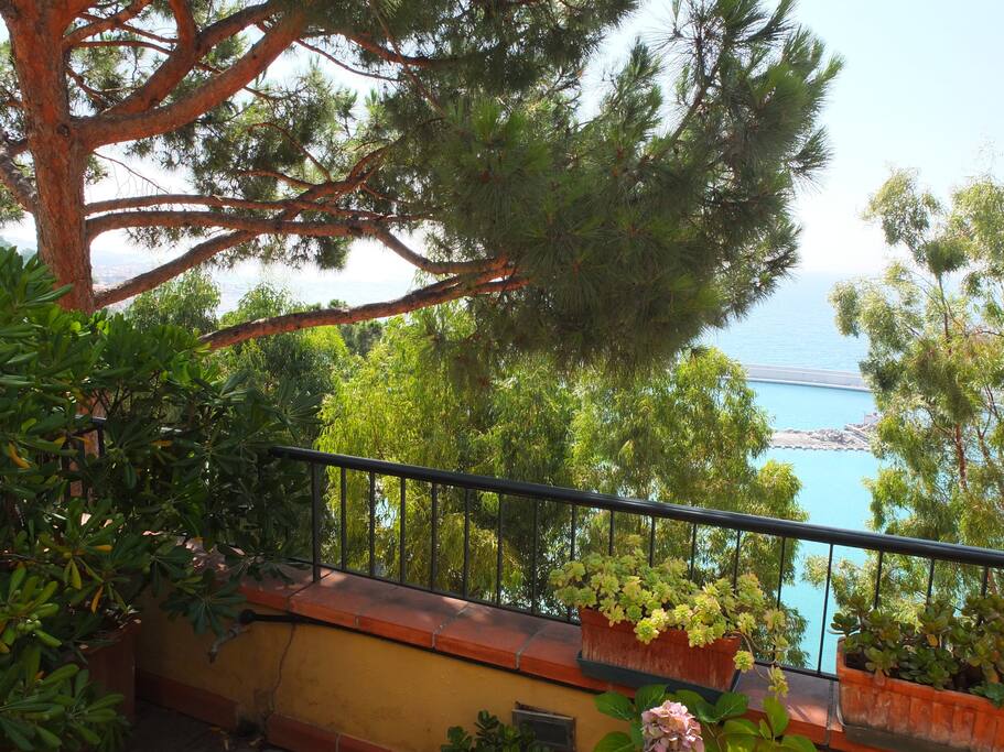 Vista da terrazza