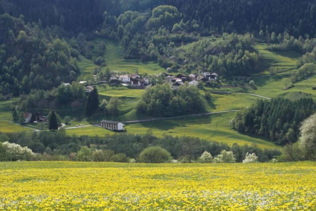 Clugin, the house is in the middle of the village
