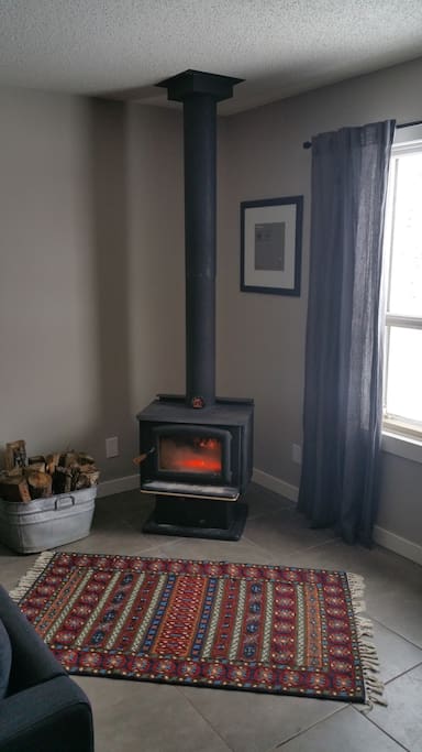 Newly installed wood stove in common area