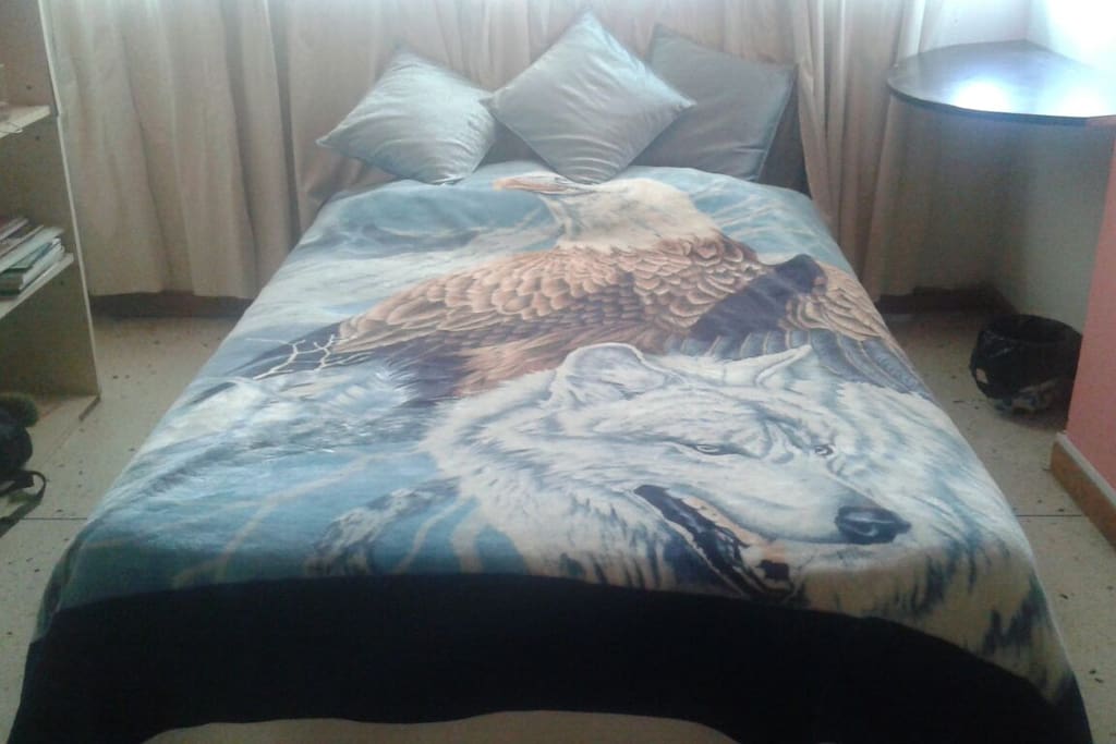 Bed