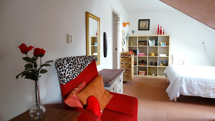 Spacious room on family farm near Groningen