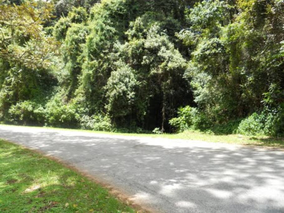 Entrance road