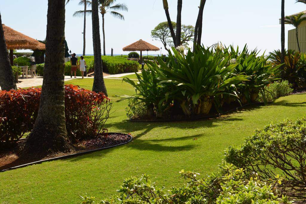 View from lanai