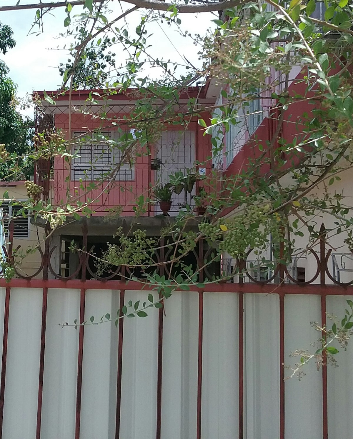 The exterior of a colorful house is visible behind a wrought iron fence. A balcony adorned with plants is seen above, offering a glimpse of vibrant exterior walls. Lush greenery surrounds the house, contributing to a peaceful neighborhood setting.