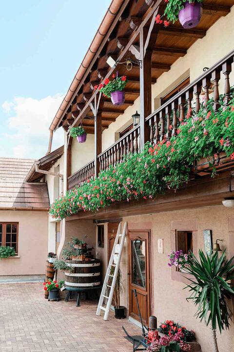 Beautiful guesthouse at winery, vineyard view
