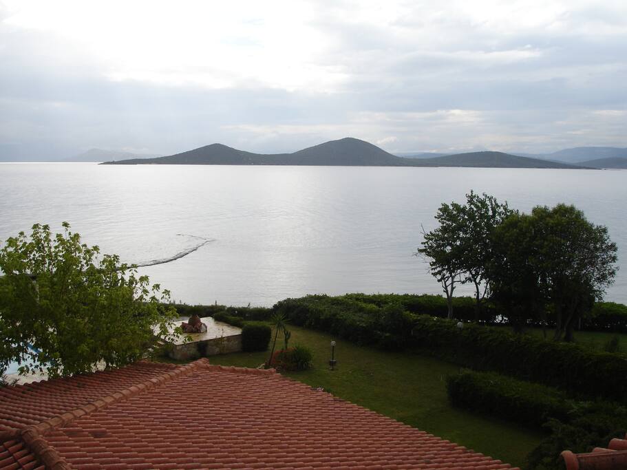 view above