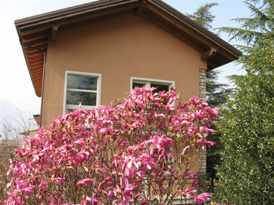 Lato verso il giardino