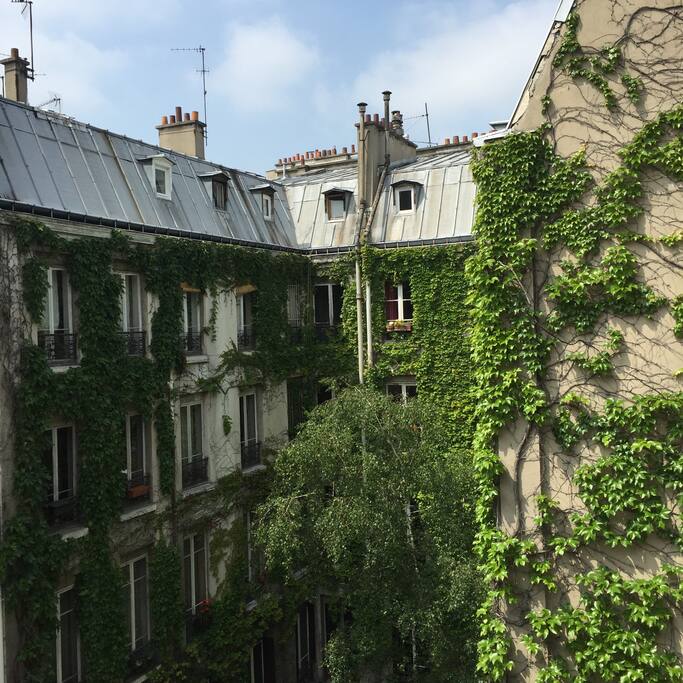 Cour calme et arborée
