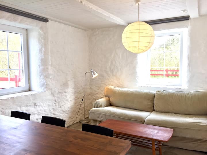 Walls newly painted this year; comfy sofa bed that fits two. 