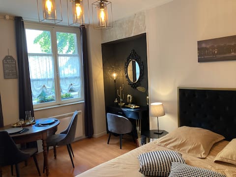 Propriété Airbnb réussie: F1 pedestrian plateau, Quiet mansion à Diocèse De Metz