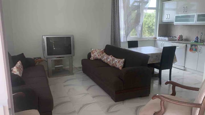 Odunluk, Bozcaada’nın Karşısı, Denize 100mt / 2 - Geyikli