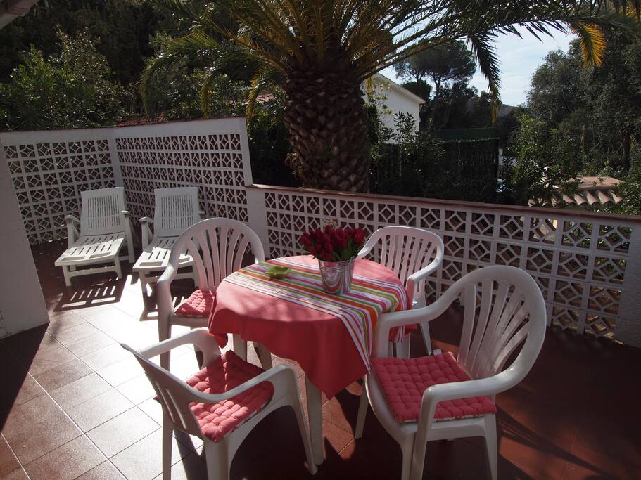 Terraza