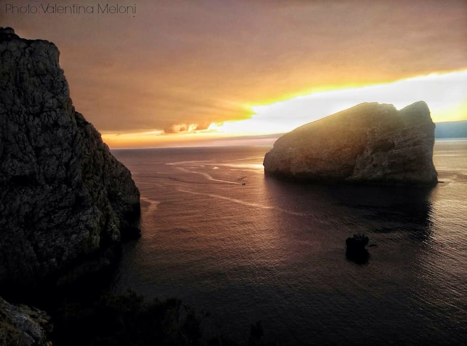 Capo caccia
