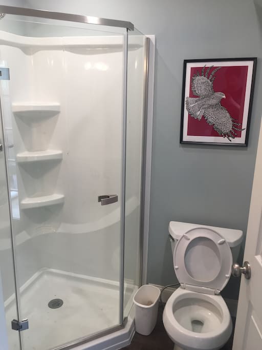 First floor bathroom