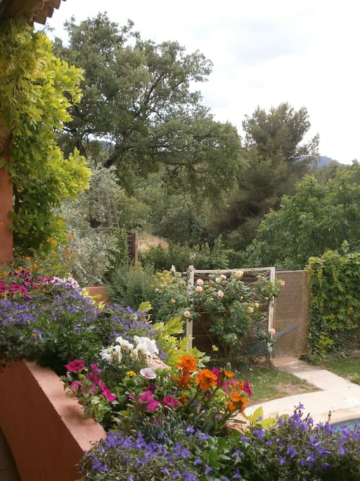 Vous retrouverez tout autour du studio et de la maison principale un très joli jardin.