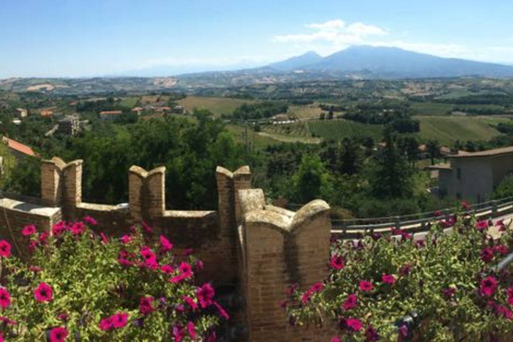 Panorama sui colli marchigiani