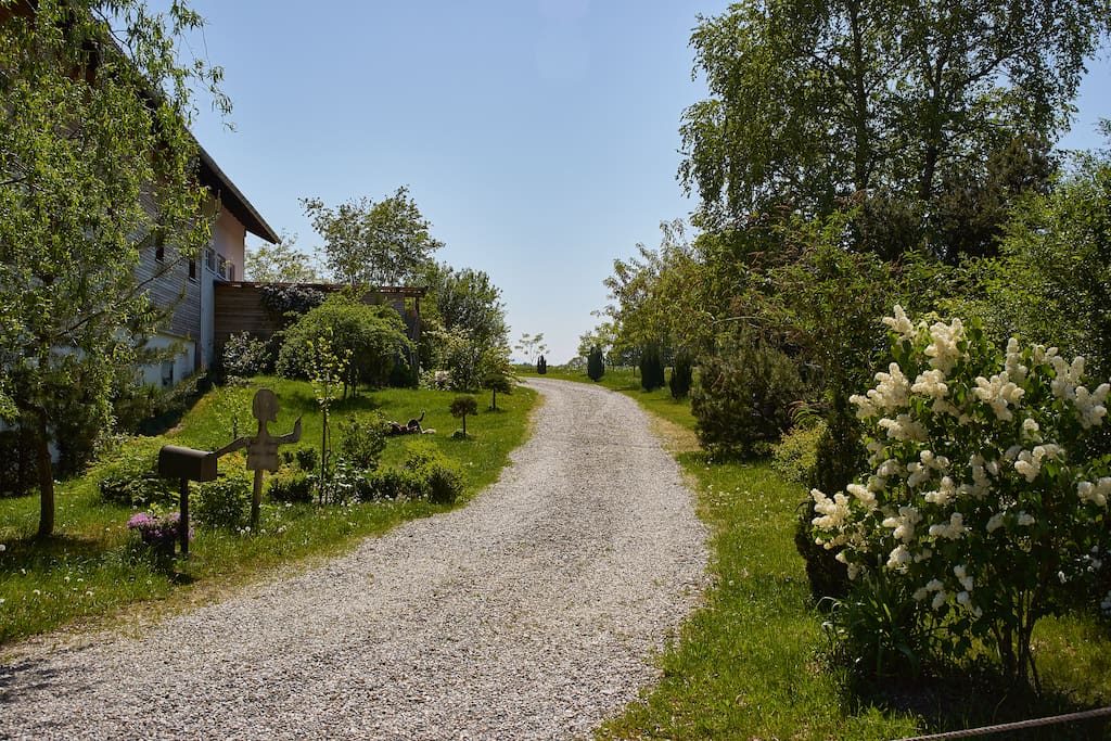 Zufahrt/driveway