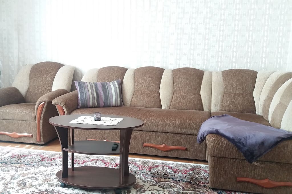 Гостиная зона. Диван-кровать
Living room, Bedroom 1