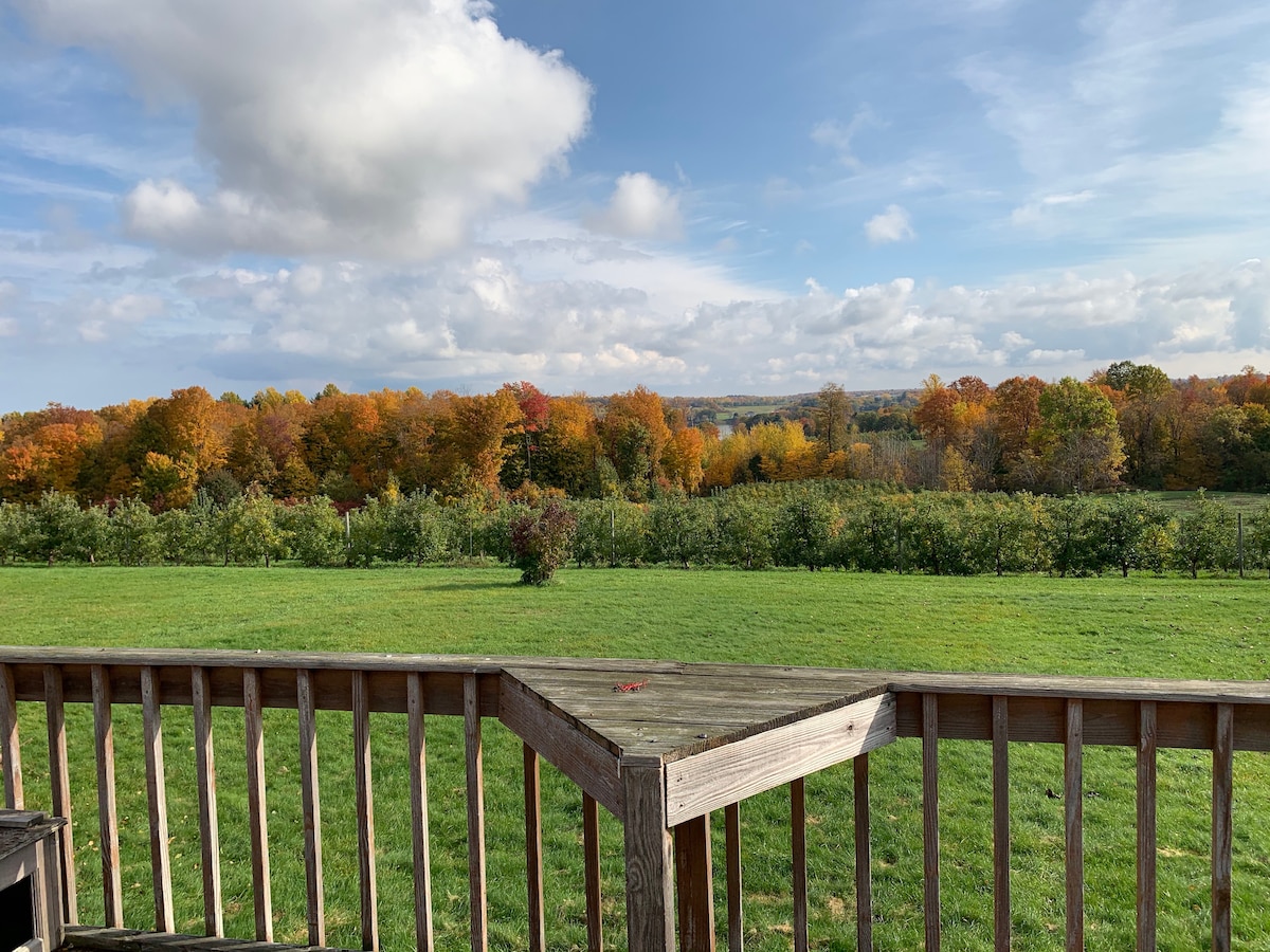 A wide-angle view of the expansive yard and surrounding apple orchard is captured from the deck. Vibrant autumn leaves adorn the trees in the distance, while the green grass of the yard stretches out, offering a serene landscape under a partly cloudy sky.